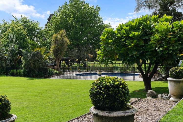 526 Ngunguru Road Glenbervie_16