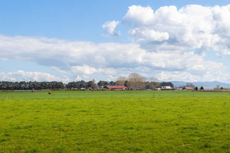 227 Endowment Road Te Aroha_4