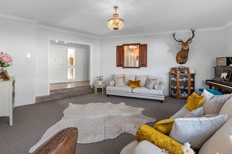 342 Old Taupo Road Springfield_5