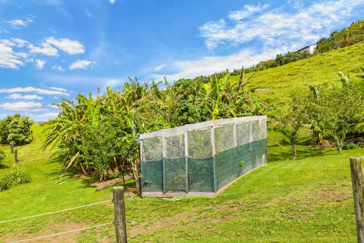 470 Tara Road Mangawhai_43