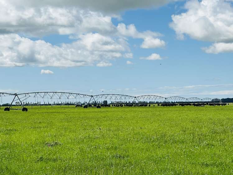 2247 Tinwald Westerfield Mayfield Road Ashburton_7