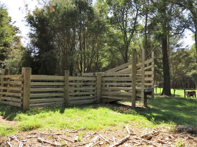 512 Hamama Road Takaka_9