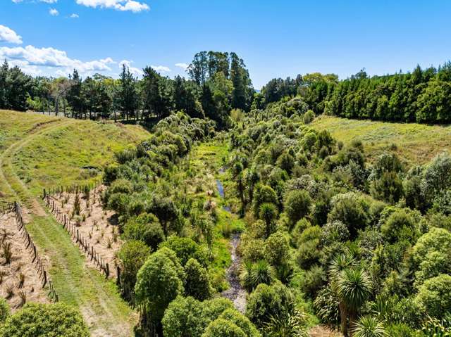 8 Pine Ridge Lane Aongatete_3