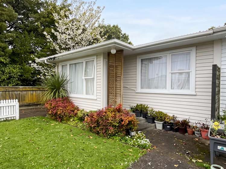 51 Queenwood Road Levin_10
