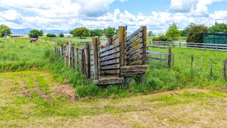 54 Arawa Street Pipiroa_24