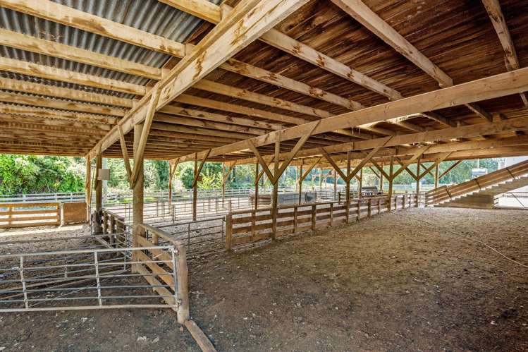 299 Domett Road Domett_17