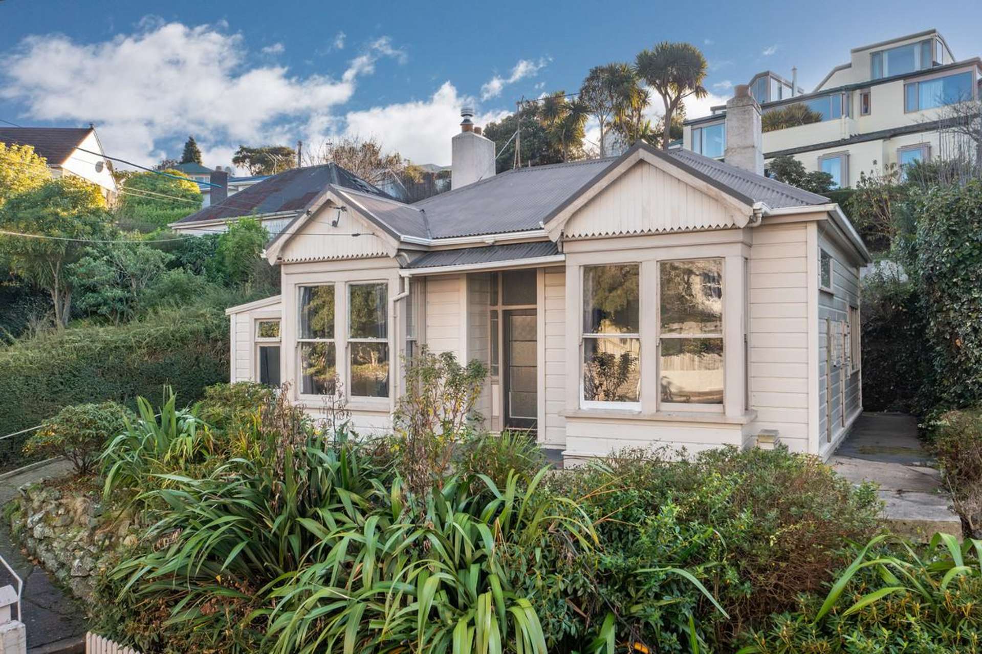 11 Henry Street Maori Hill_0