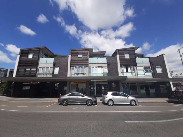 Sunny Albany Village Apartment