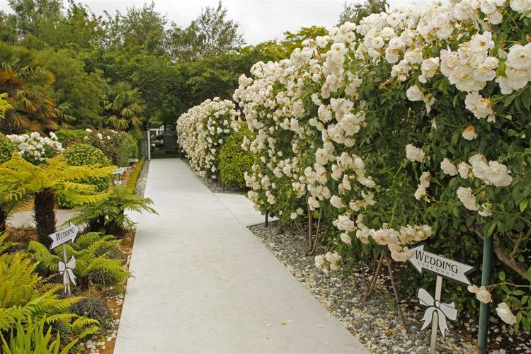 750 Wairakei Road Burnside_17