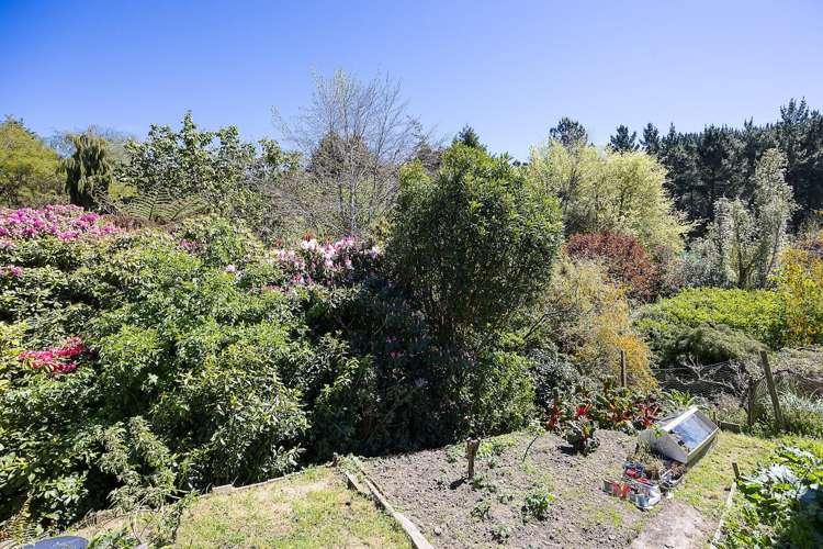 63 Martin Road Fairfield_15
