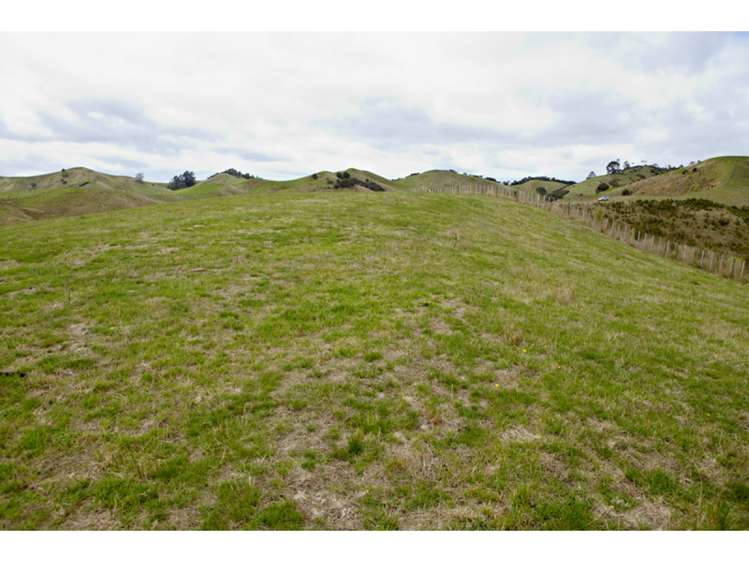 47 Haul Road Tahekeroa_14