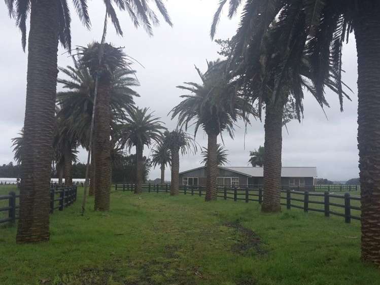 46 Airport Drive New Plymouth Airport_2