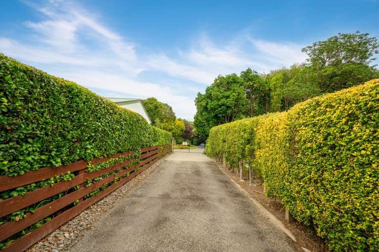 54 Kohekohe Road Waikanae_47