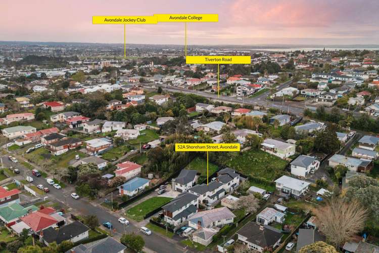 52A Shoreham Street Avondale_32