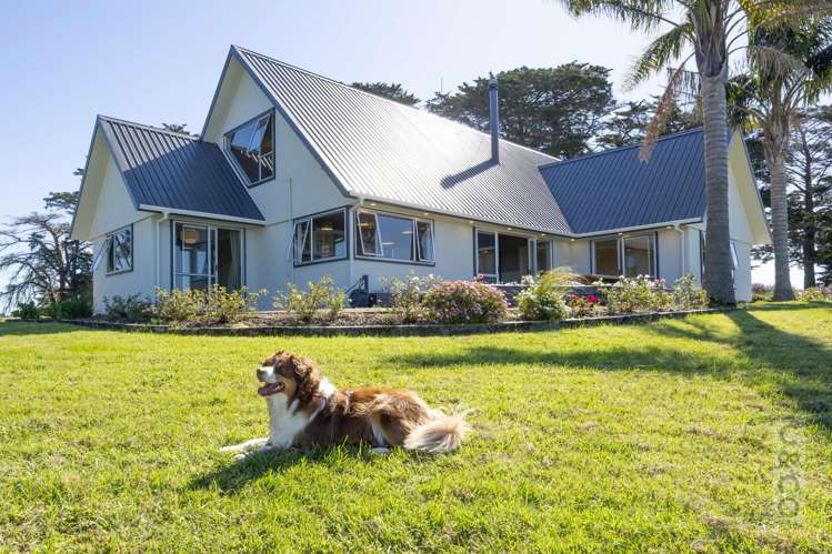 221 Amreins Road Taupaki_14