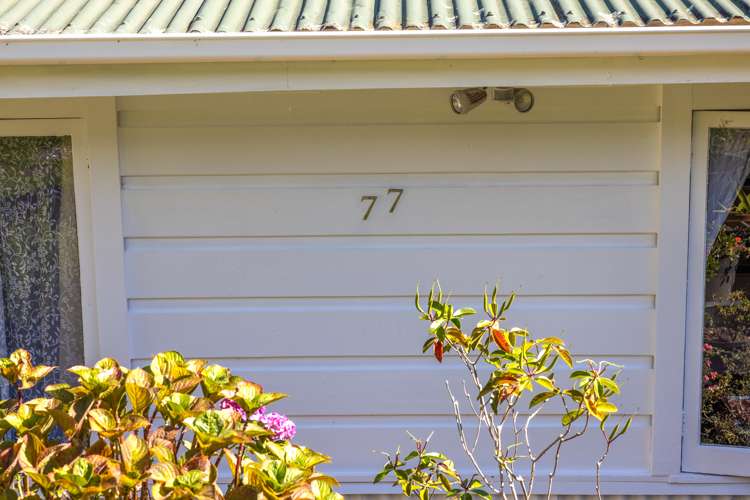 77 Ocean Road Surfdale_26