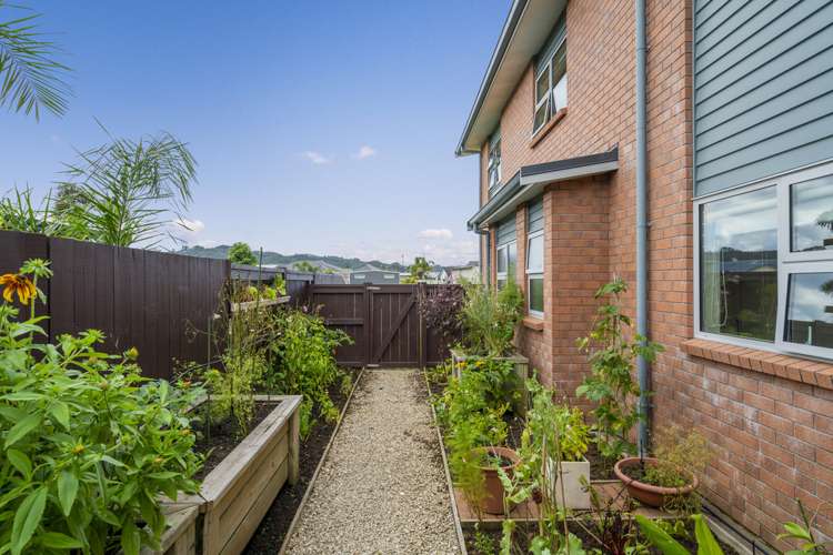 6 Aquila Drive Whitianga_24