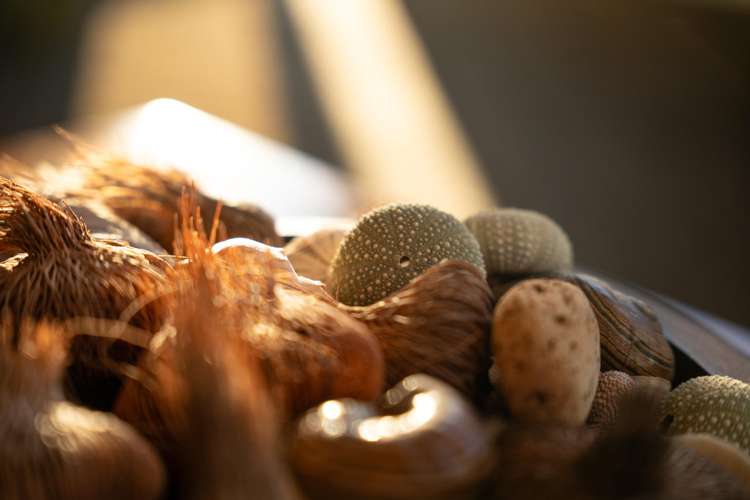 5/27 Beach Road Paekakariki_18