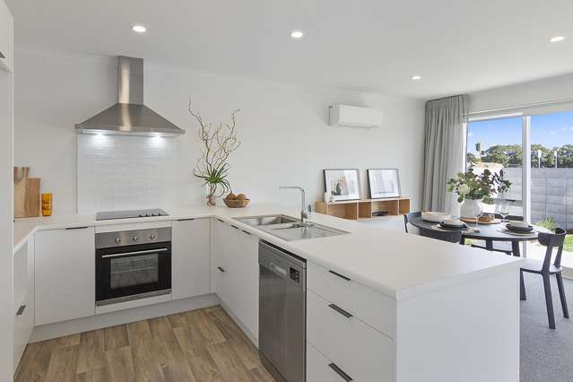 Lot 331 Puna Rua_3