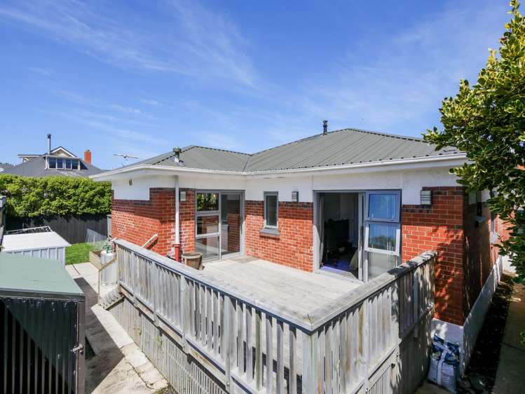 227a Forbury Road Saint Clair_17