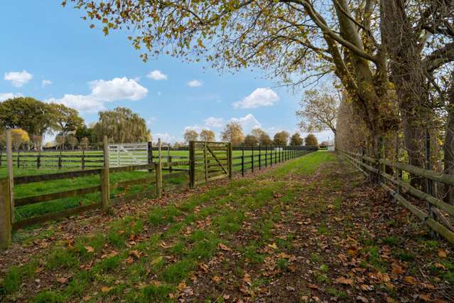 73 Discombe Road Tamahere_4