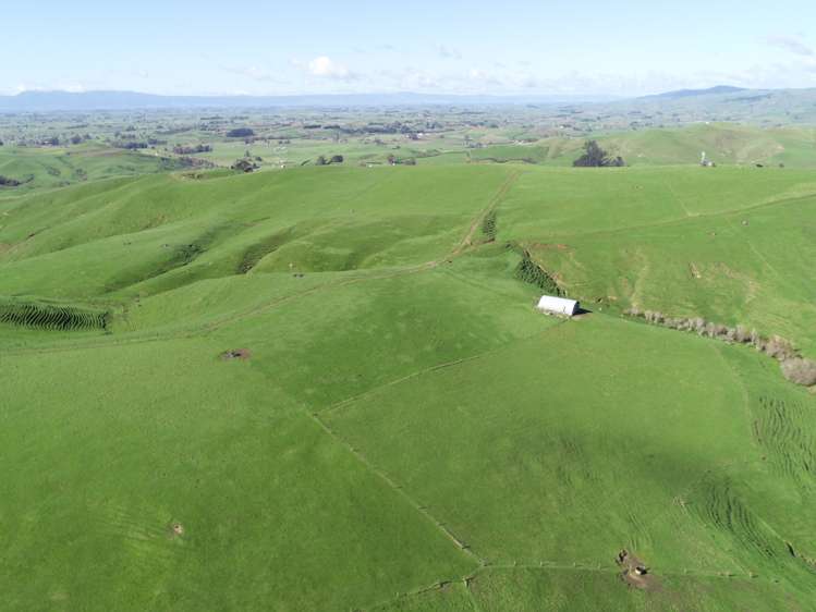 637 Tahuroa Road Morrinsville_14