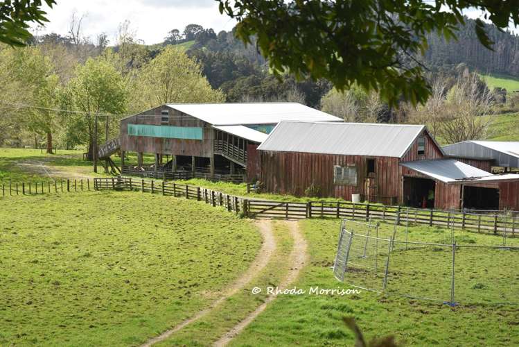 726 Paparoa Station Road Maungaturoto_96