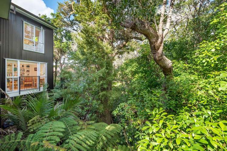 41 Gerontius Lane Snells Beach_11
