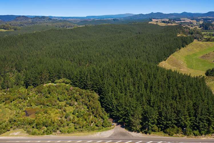 2805 State Highway 30 Rotoma_14