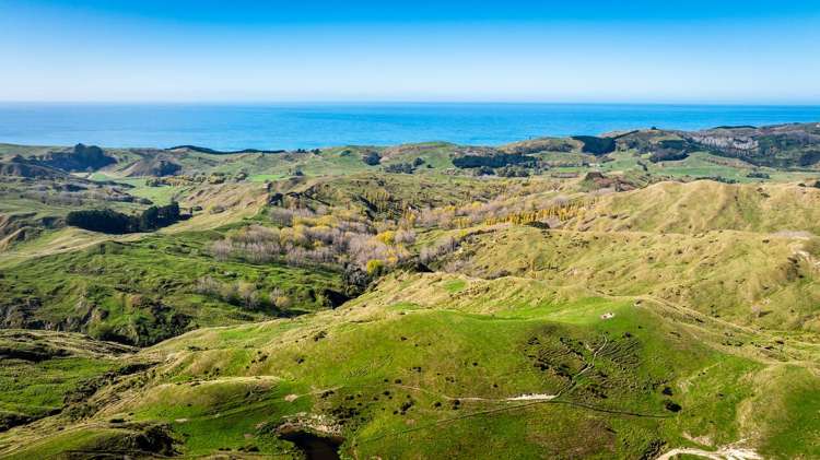 56 Nilsson Road Elsthorpe_7
