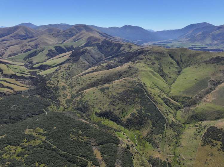201 Sheepwash Creek Road Ardlussa_8