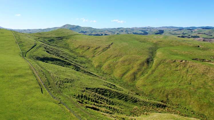 331 Waitahora Road Waitahora_9