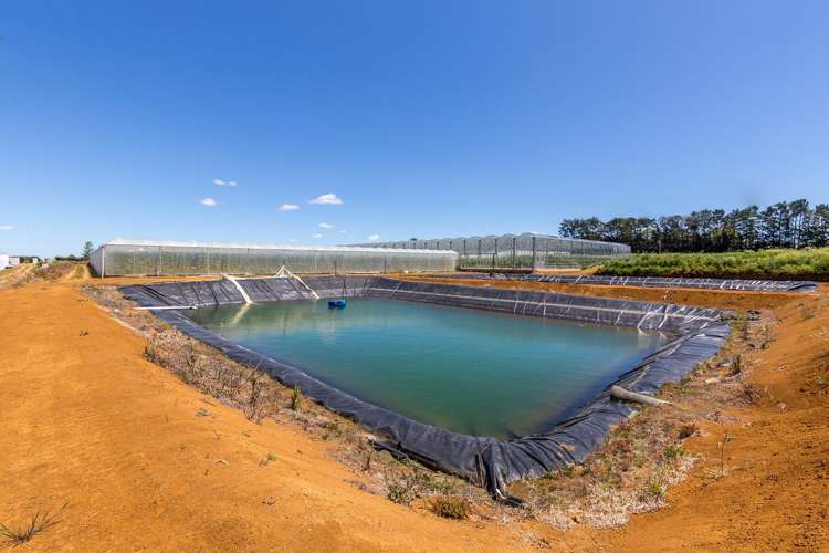 379 Razorback Road Pokeno_13