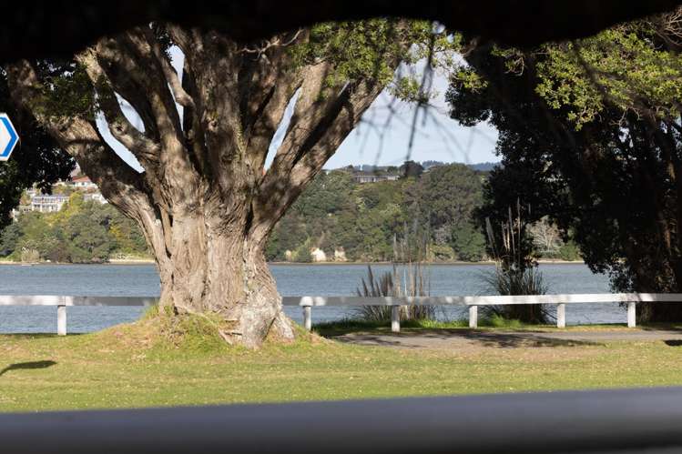 81 Turret Road Tauranga South_11
