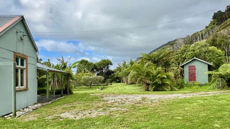 37 Nikau Road, State Highway 67 Hector_12