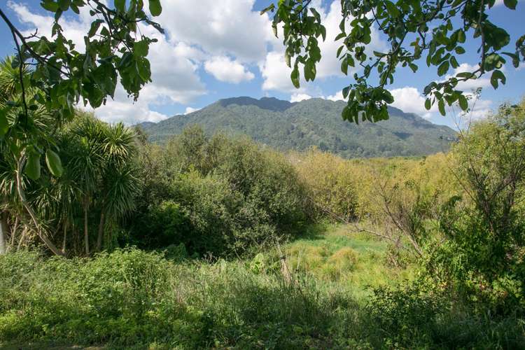 34 Ritchie Street Te Aroha_19