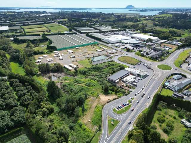 17-23 Te Puna Road Te Puna_2