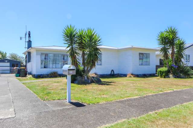 11 Vogel Street Levin_1