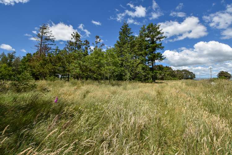 783 Chester Road Carterton_9