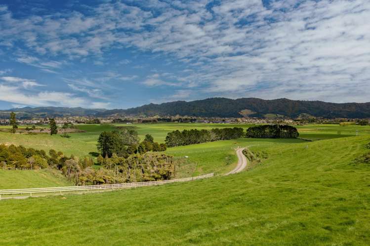 11 Kanuka Road Ngaruawahia_3