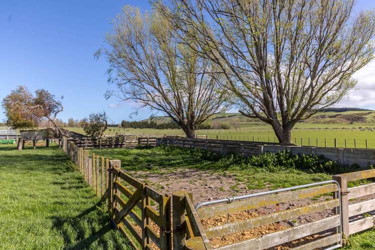 White Rock Road Martinborough_11