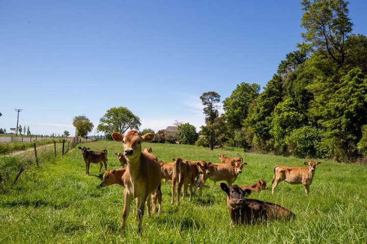 1707-1780 Takaka Valley Highway East Takaka_56