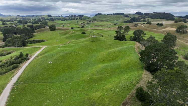 290 Parsons Road Atiamuri_16