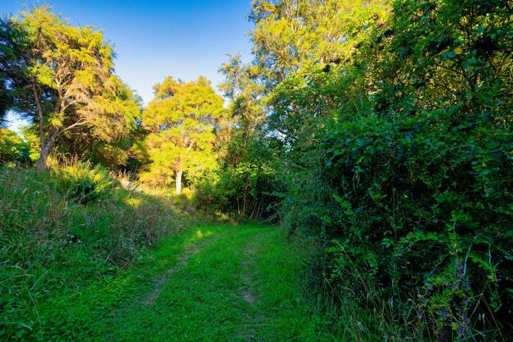 759 Mount Fyffe Road Kaikoura Flat_23