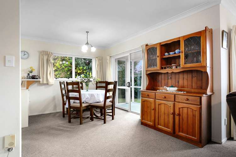 32 Bryce Street Kihikihi_6