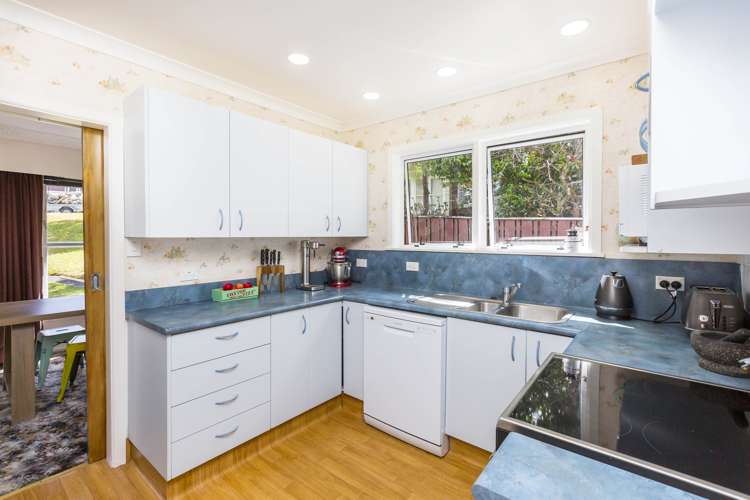 4 Dawn Grove Brown Owl_5