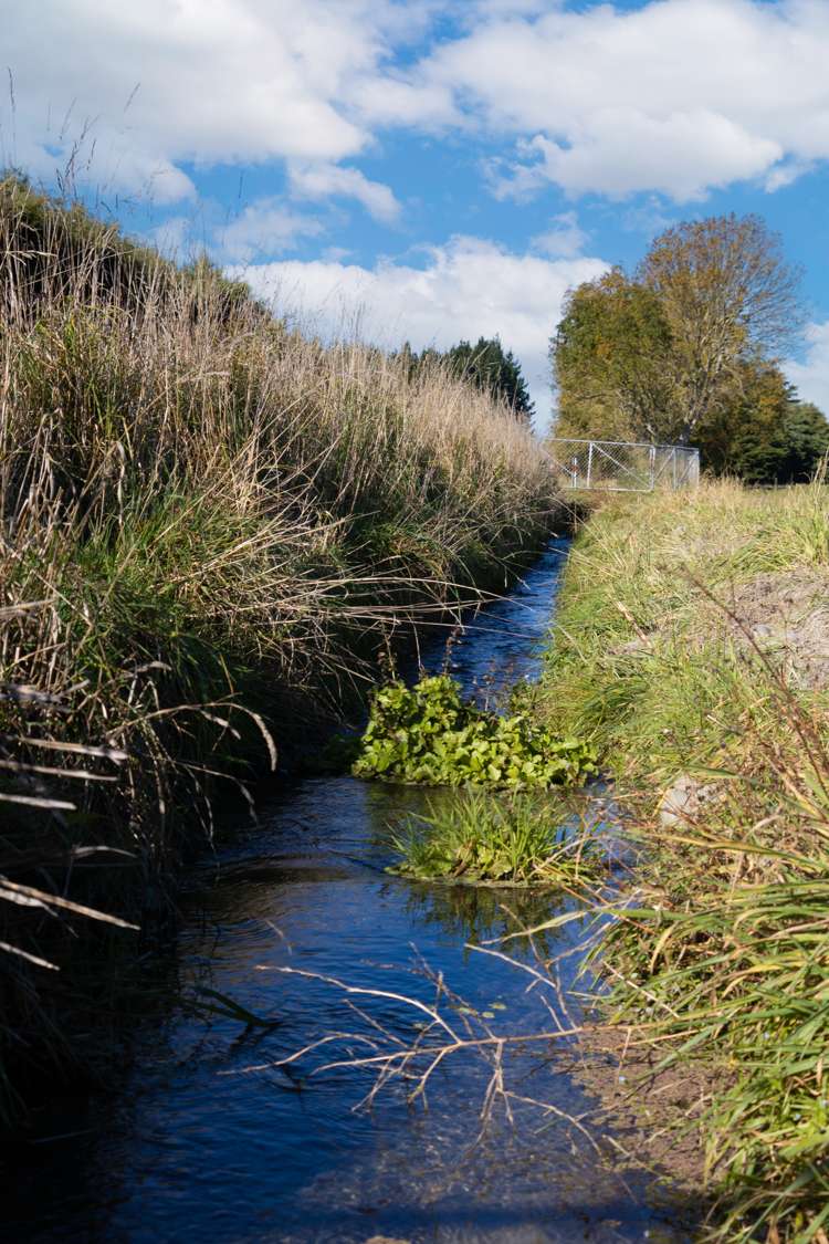 197 Maindonalds Road West Eyreton_8