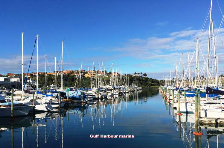 319 Pinecrest Drive Gulf Harbour_5