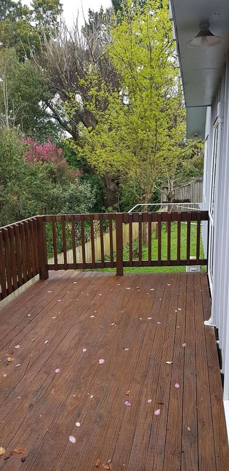 299 Ohaupo Road Glenview_16