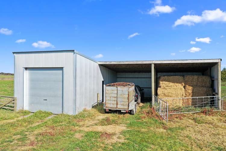 411 Marychurch Road Matangi_14